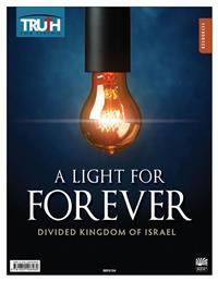 Image for 0194 Adult A Light For Forever Transparency Packet